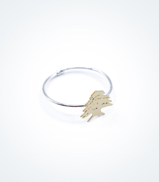 Yellow gold Cedar motif on white gold ring wire